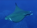 20190827_073842