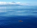 20190829_165349