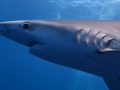 20190830_124954