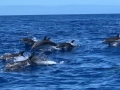 IMG-20190829-WA0035