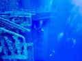 Cyprus-22-Sep-2019-Zenobia-Divers-6