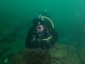 BUDC 22 Sep 2014 Farnes Dive 6 Paul C sm