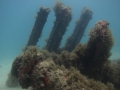 img_4165-wreck-copy