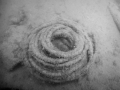 Coil of Rope