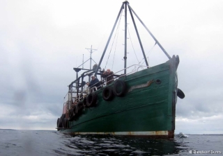 sharon-rose-from-the-sea