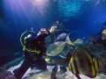 Sm-Skegness Aquarium P_02