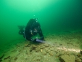 PC Looking for Crayfish