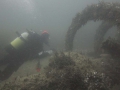 img_4374-andrew-on-wreck